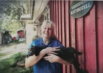 Katt hos Vasshalla Katthotell